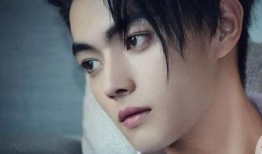 娱乐圈真实爆料许凯白鹿,娱乐圈甜蜜恋情背后的真相